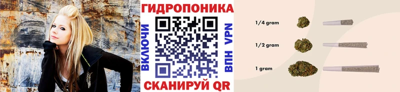 Купить закладку Сосновый Бор Кокаин A PVP Гашиш МАРИХУАНА МЕФ