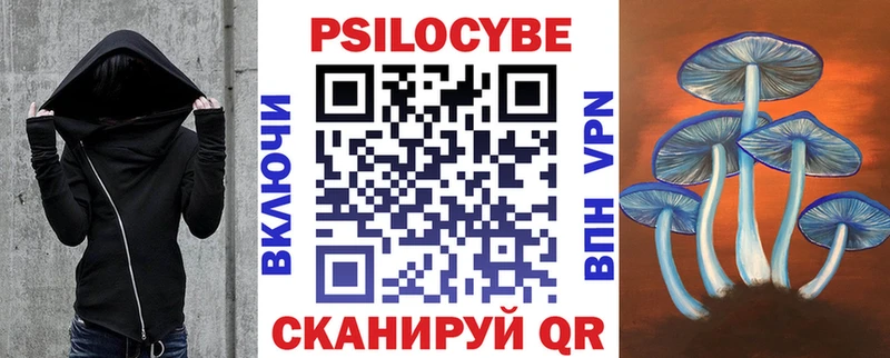 наркошоп Сосновый Бор Псилоцибиновые грибы Psilocybine cubensis