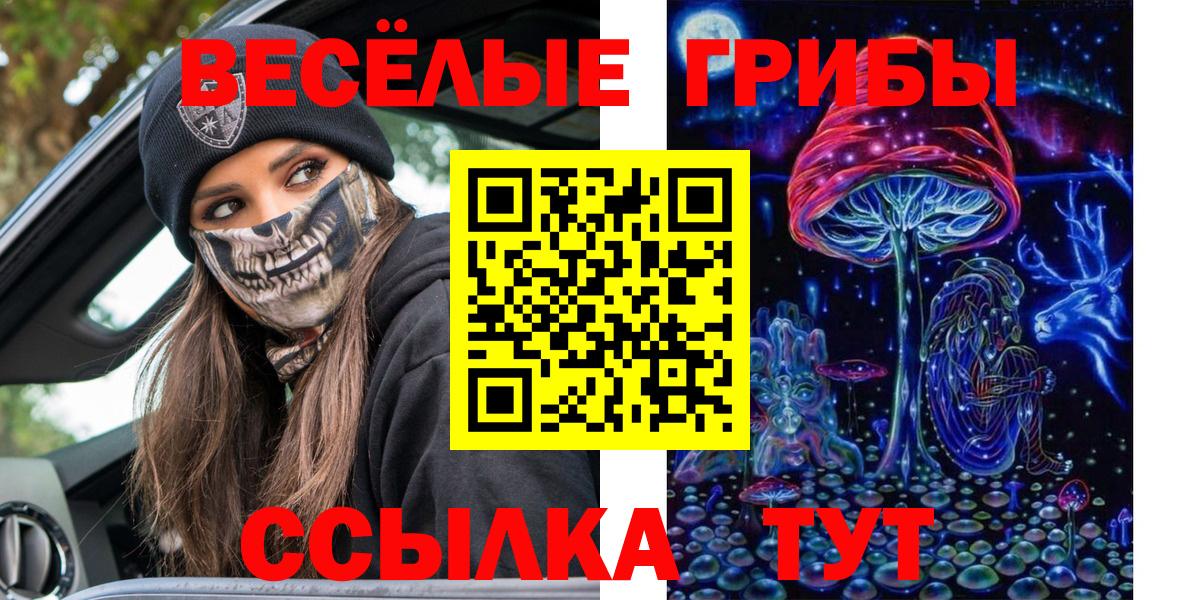 Псилоцибиновые грибы Psilocybe Сосновый Бор