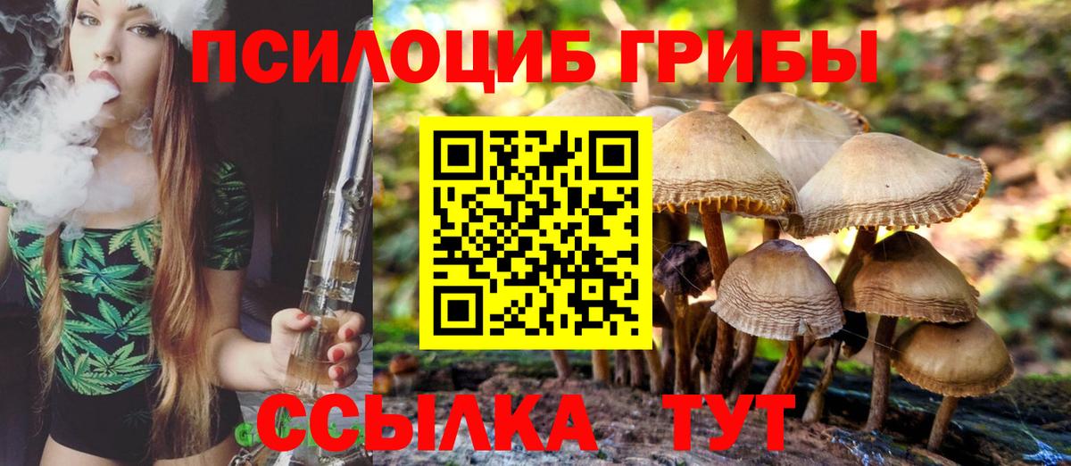Сосновый Бор  Галлюциногенные грибы Cubensis  Вход с VPN 