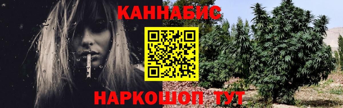 Бошки Шишки ГИДРОПОН Сосновый Бор